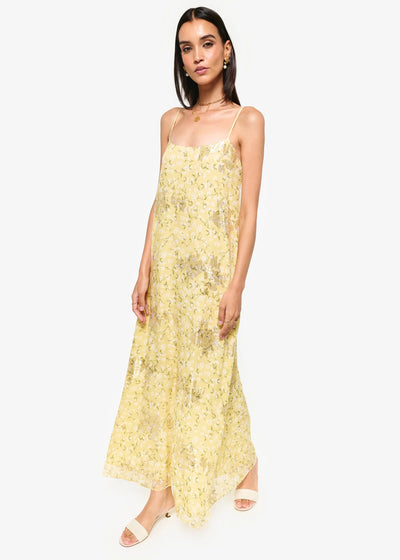 Cami Luz Metallic Chiffon Dress Yellow Magnolia