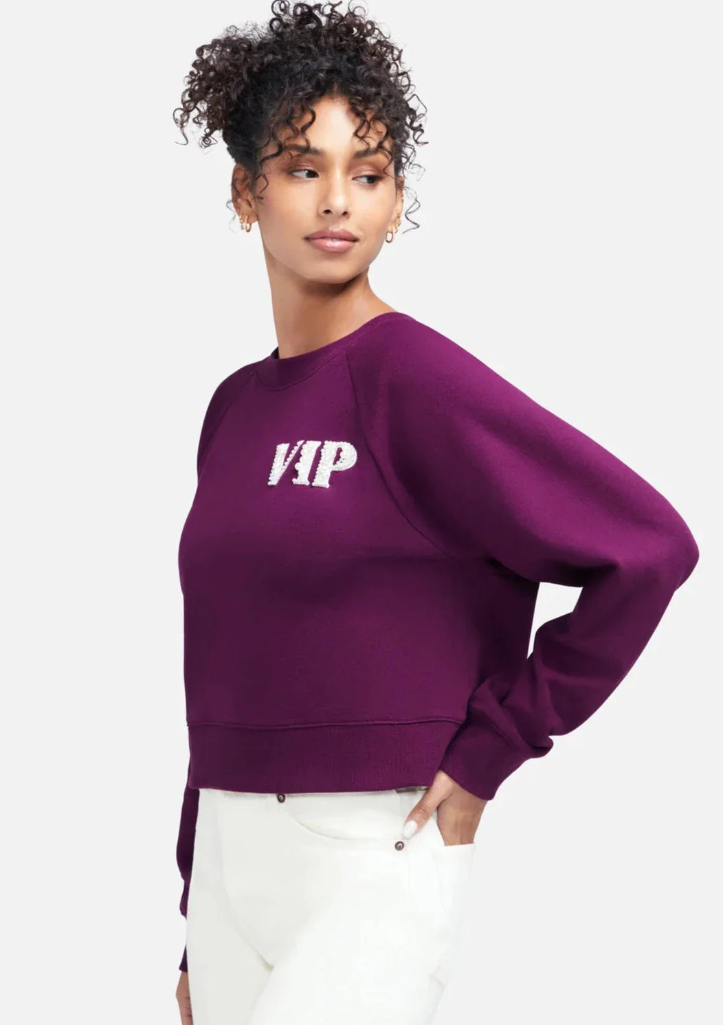 WILDFOX “VIP” Raglan Pullover Sweater - Dark Purple