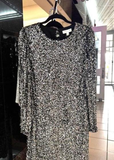 The Pink Door Sequin Dress Silver