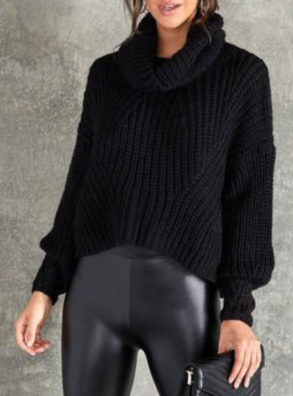 The Pink Door Black Knit Crop Turtleneck Sweater