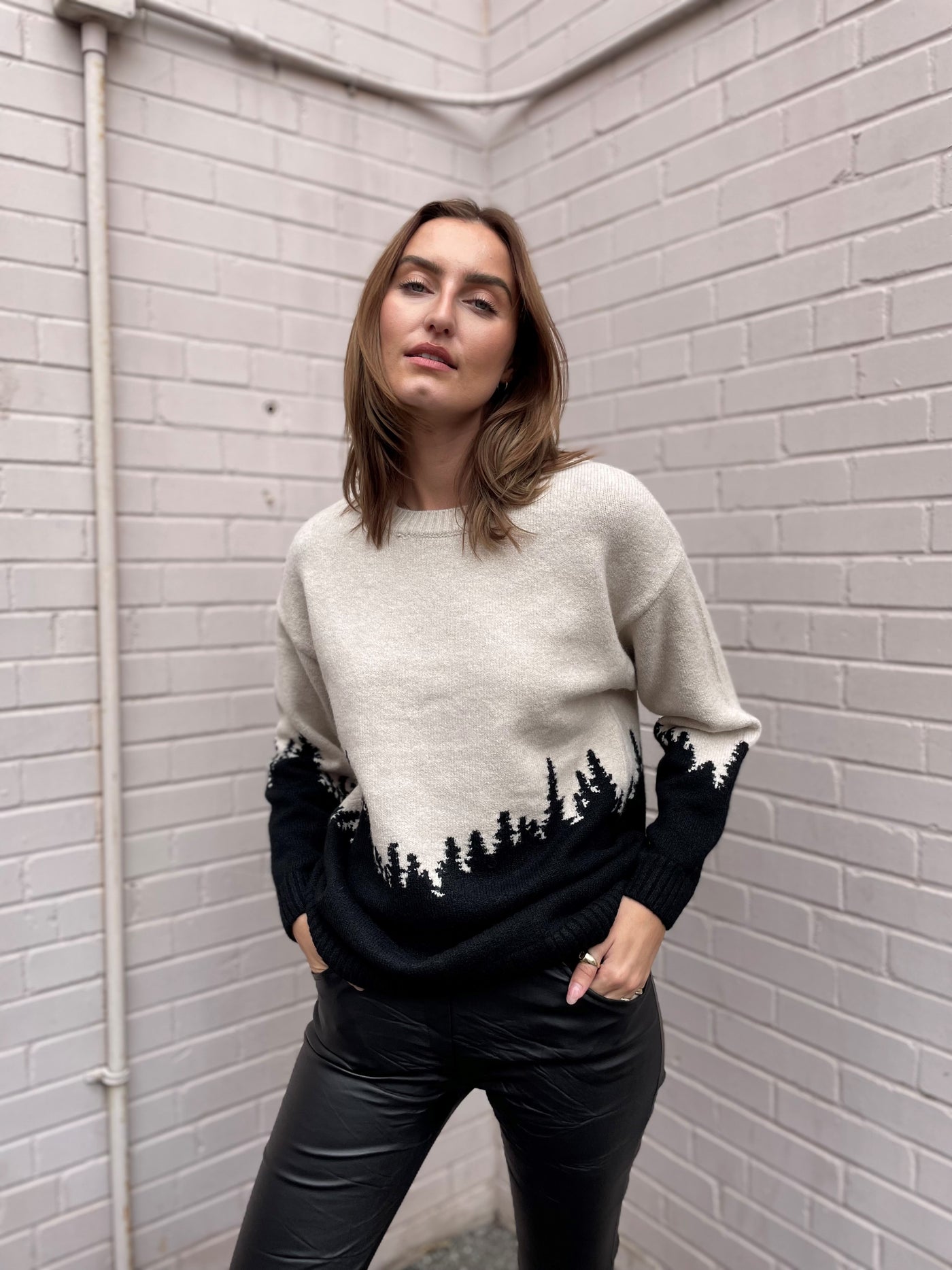 WILDFOX Horizon Day Trip Sweatshirt - Beige