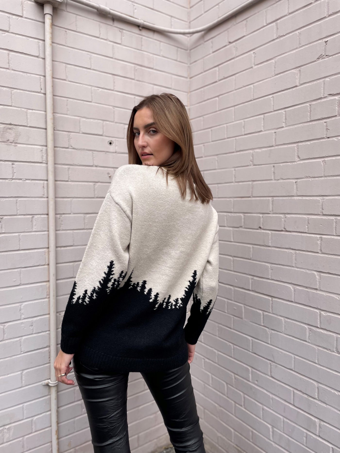 WILDFOX Horizon Day Trip Sweatshirt - Beige