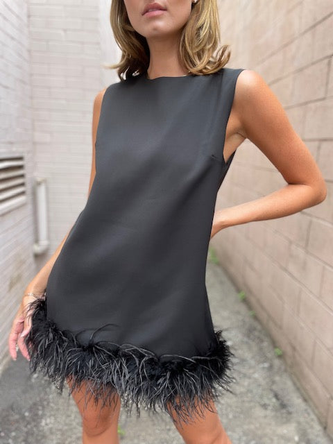 The Pink Door Black Feather Dress