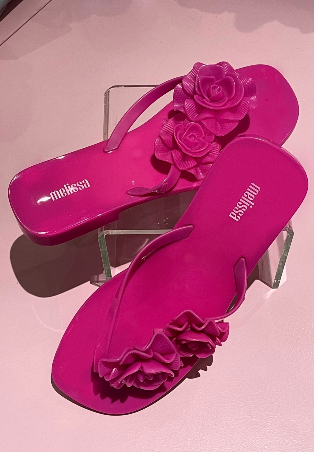Melissa Shoes w Pink Roses