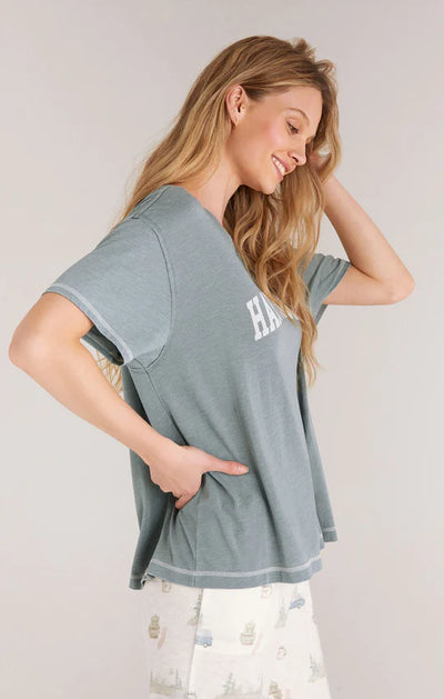 Z Supply Old School Camper Tee -  Ash Blue